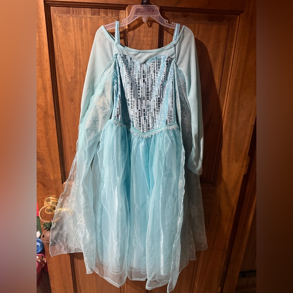 Disney Frozen Elsa Costume - Aqua and Silver